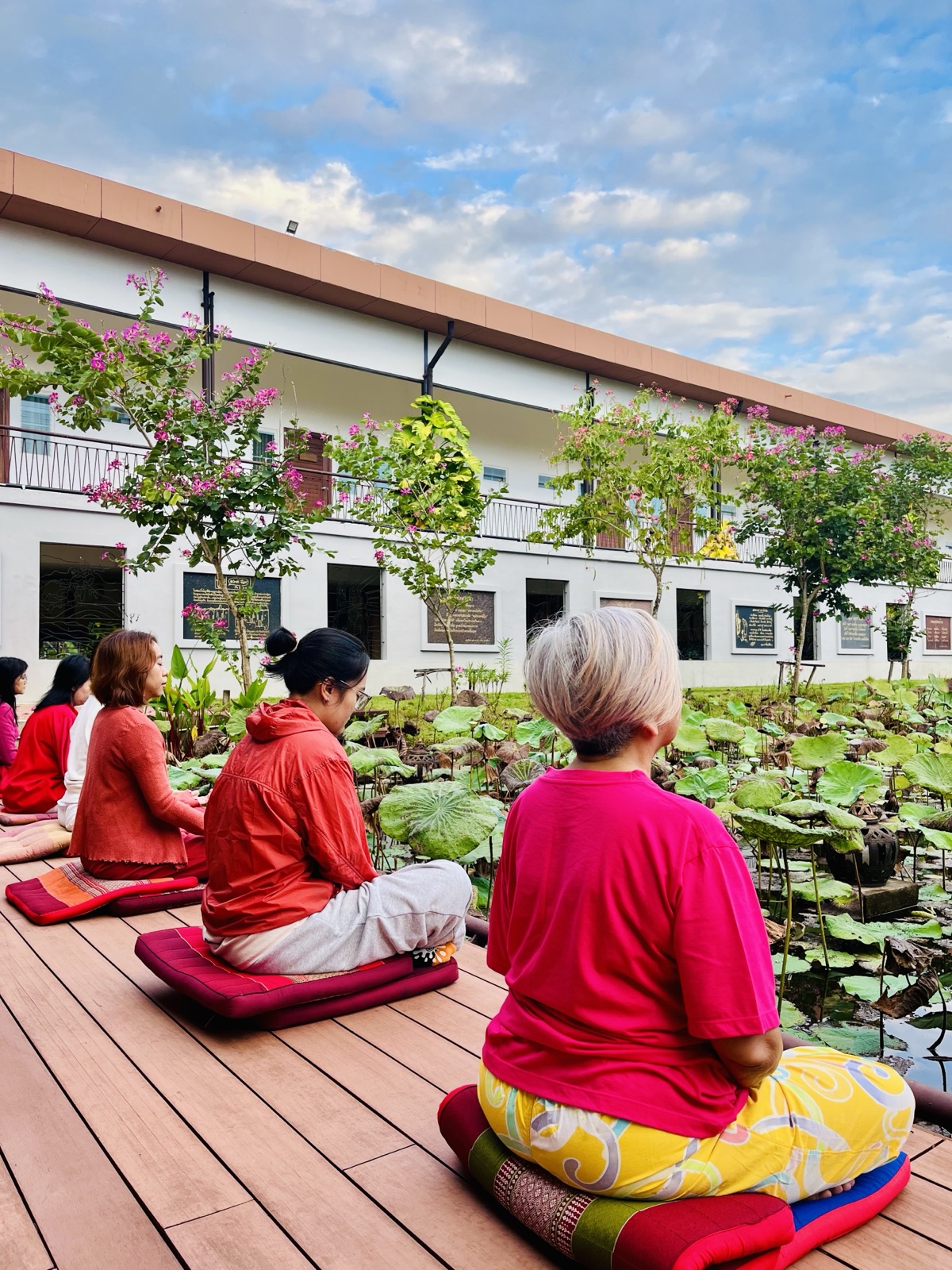 Lotus pond meditation
